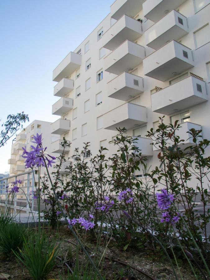 Luce Gold Apartment Zadar Exteriör bild